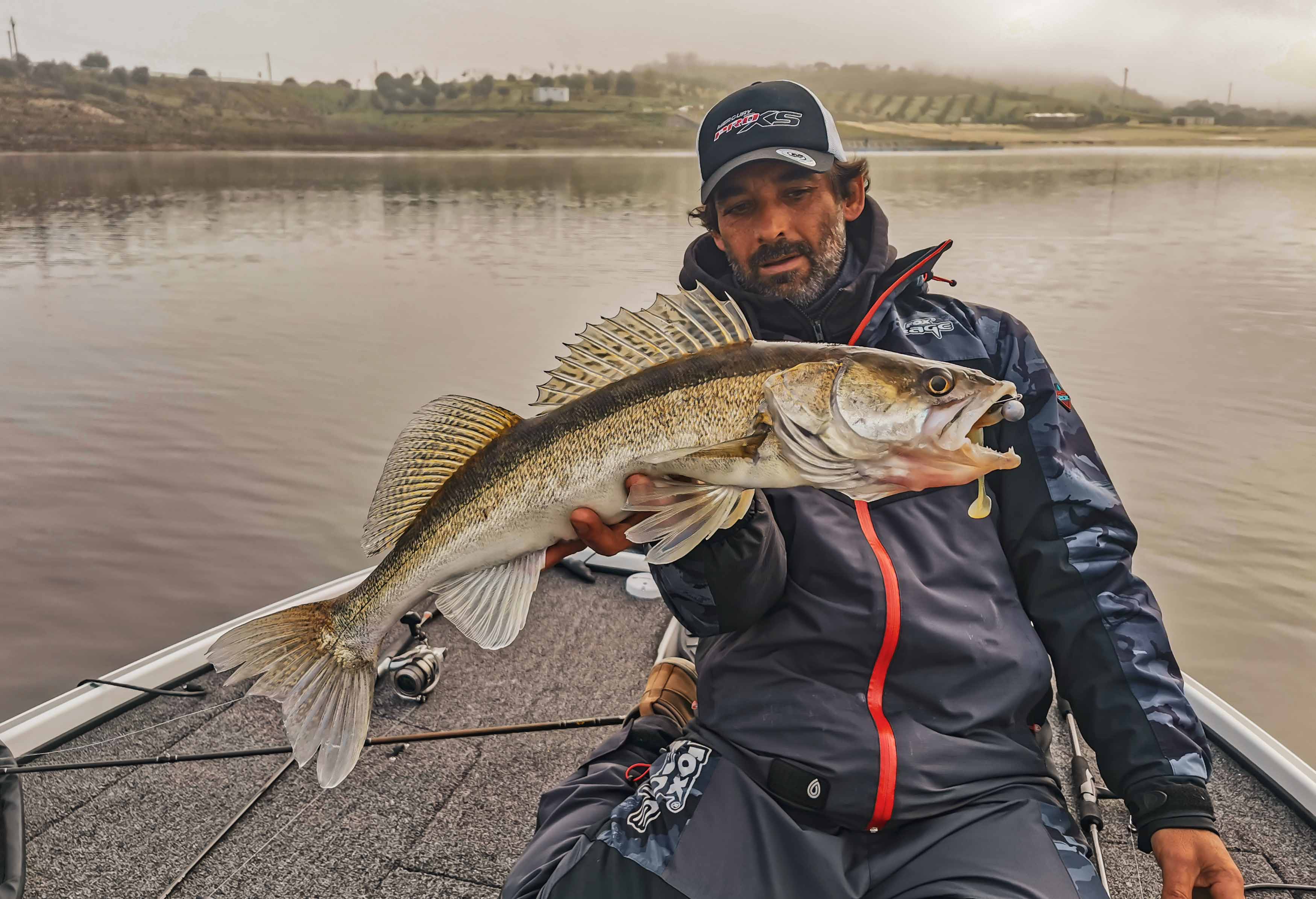 Alqueva Escape Fishing, Venez vivre une expérience unique, sur l'un des plus grands lacs d'Europe, pour un séjour en famille ou entre amis, à traquer sandre, barbeau ou black-bass. Kalou avec un beau sandre au bateau